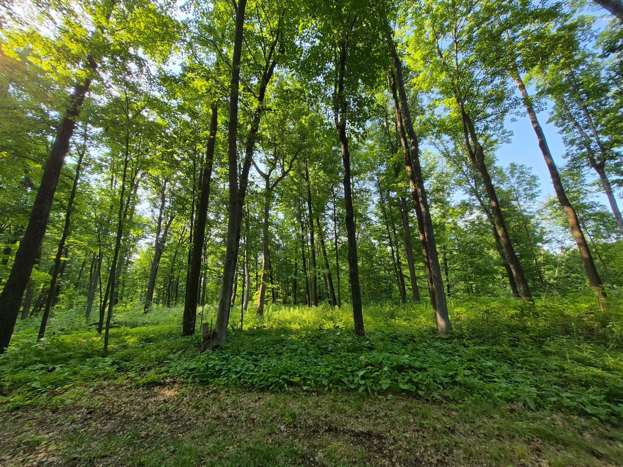 3391 30th Street Frederic, WI 54837 - Photo 1 of 12