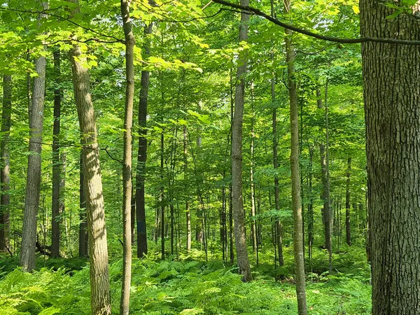 $154,000 | 3391 30th Street, Frederic, WI 54837