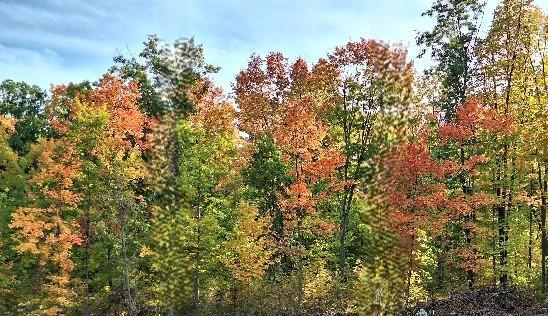 3391 30th Street Frederic, WI 54837 - Photo 4 of 12