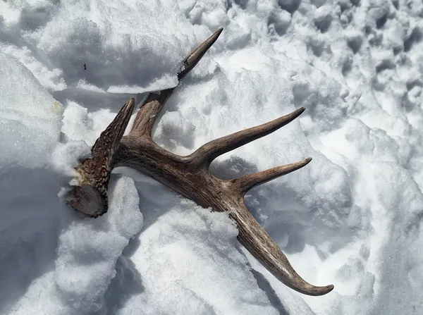 $154,000 | 3391 30th Street, Frederic, WI 54837