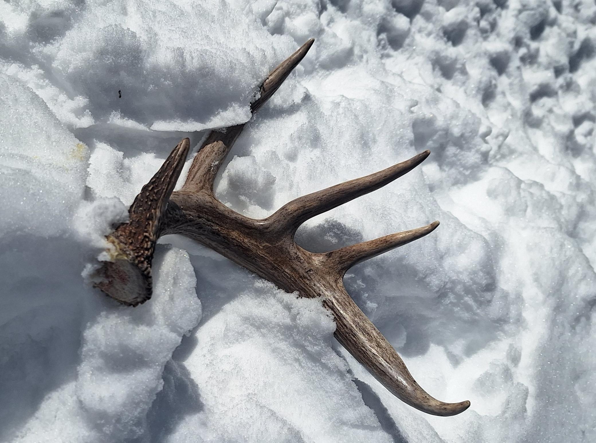 3391 30th Street Frederic, WI 54837 - Photo 5 of 12