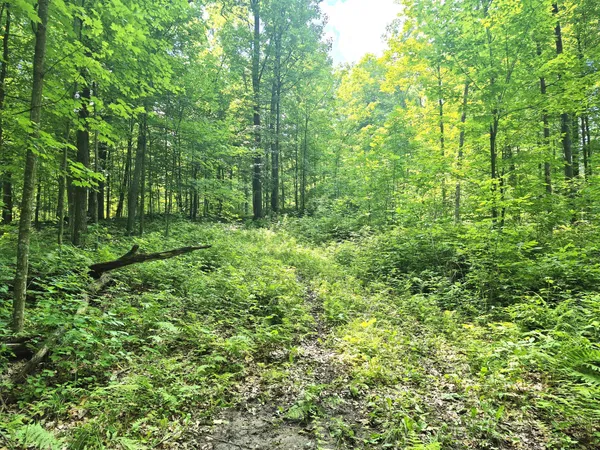 $154,000 | 3391 30th Street, Frederic, WI 54837