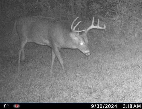 3391 30th Street Frederic, WI 54837 - Photo 9 of 12