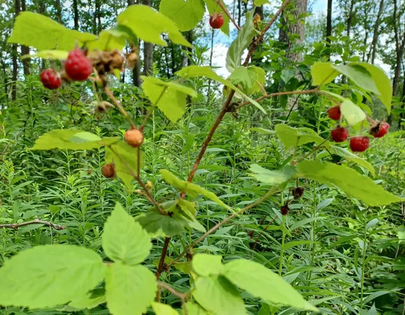 $154,000 | 3391 30th Street, Frederic, WI 54837