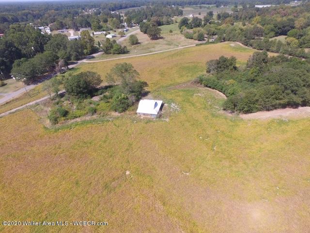 Lot 3 Arkadelphia Road Jasper, AL 35504 - Photo 5 of 9 Gallery Image 5