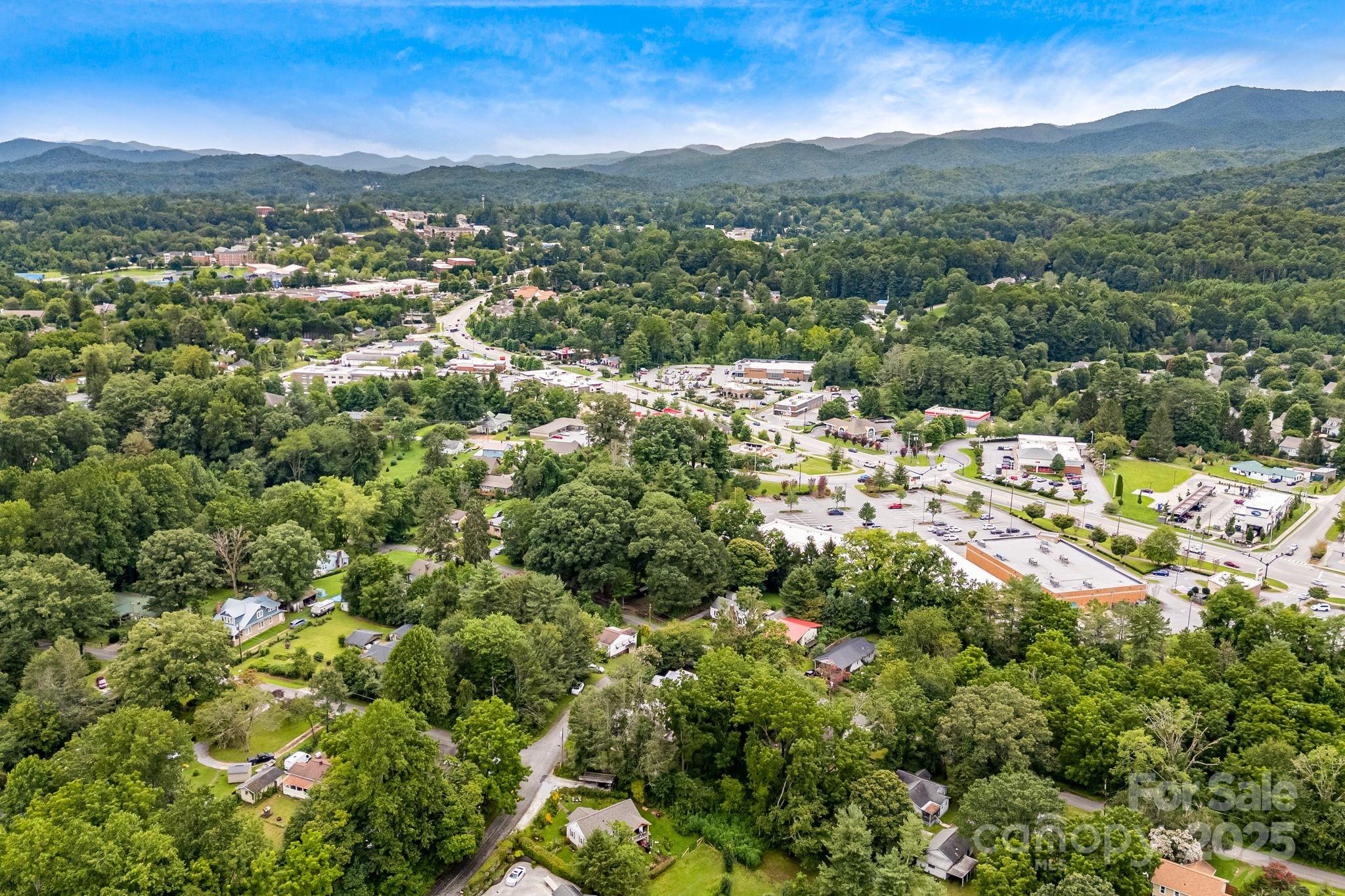 206 Rhododendron Drive Brevard, NC 28712 - Photo 33 of 36 a view of a city with mountain
