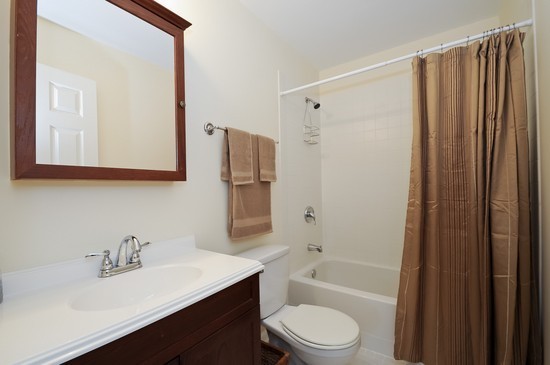 1132 Dell Road Northbrook, IL 60062 - Photo 18 of 20 a bathroom with a sink a toilet a mirror and shower