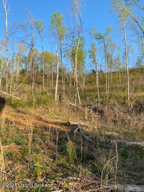 0 Lone Star Road Upton, KY 42784 - Photo 14 of 20 IMG_6695