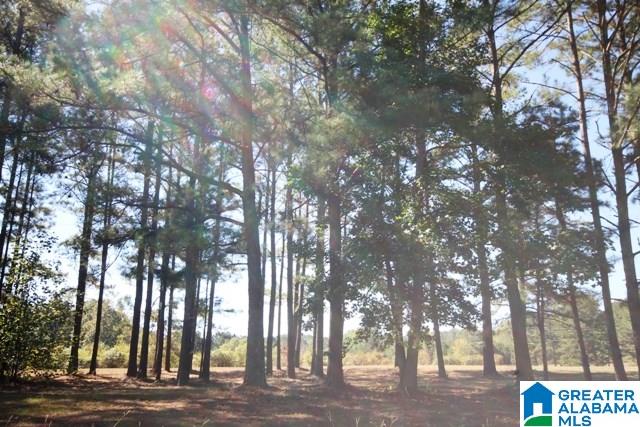 0 County Road 928, Unit 19 Delta, AL 36258 - Photo 27 of 43