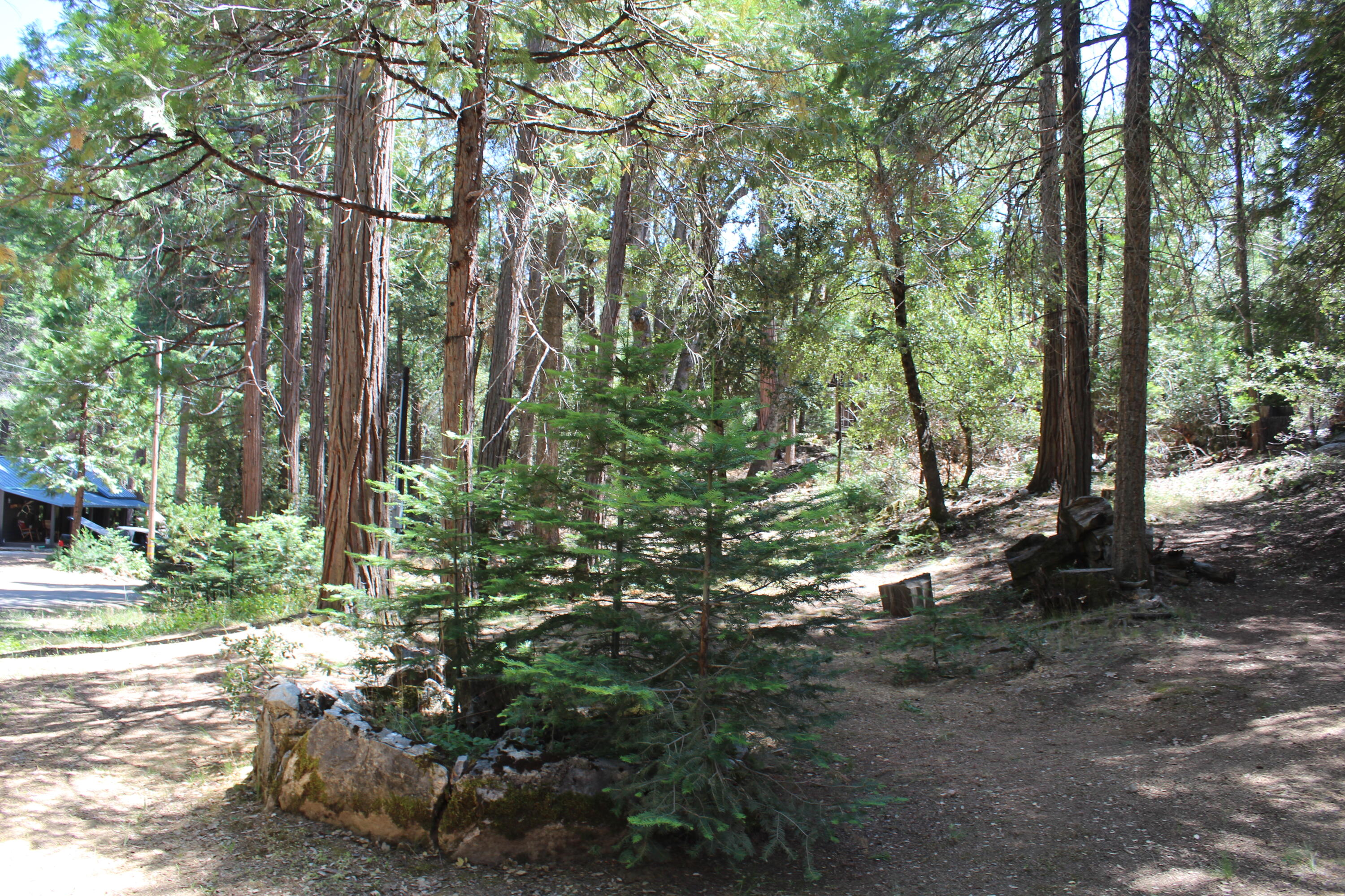 565 Trail End Drive Springville, CA 93265 - Photo 42 of 58 IMG_9593