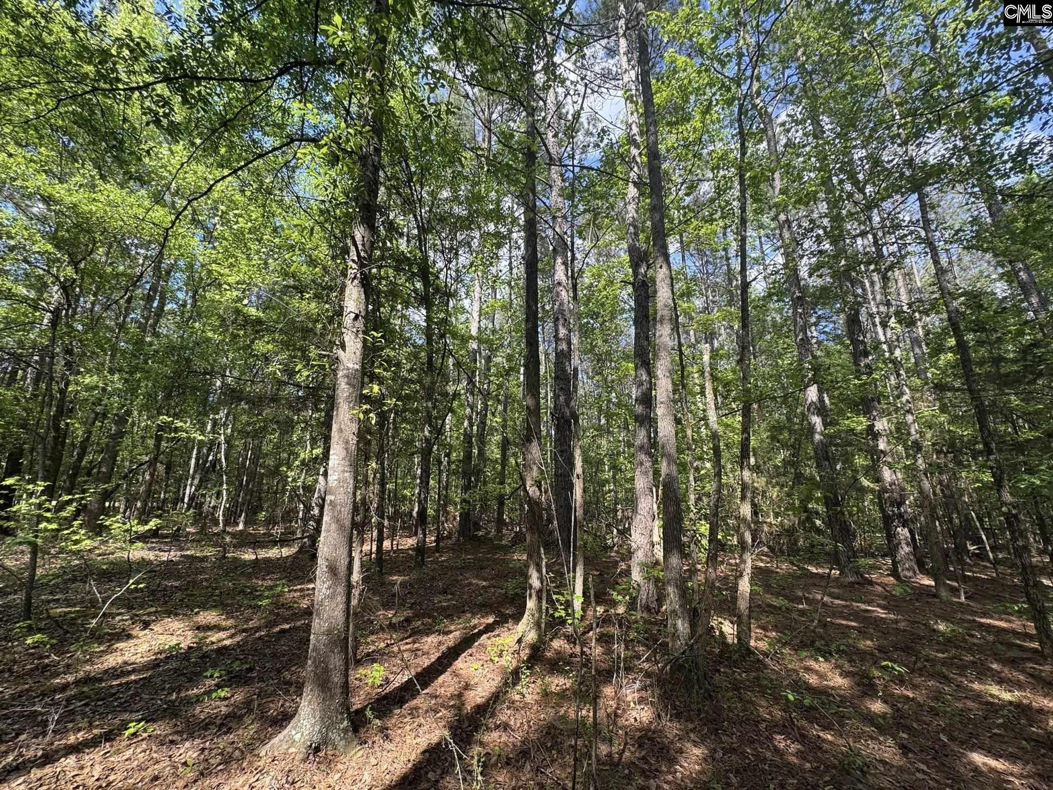 76 West W Highway Honea Path, SC 29654 - Photo 24 of 35