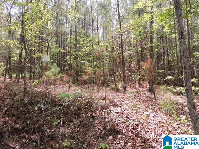 204 County Road, Unit 87 Wedowee, AL 36278 - Photo 8 of 11