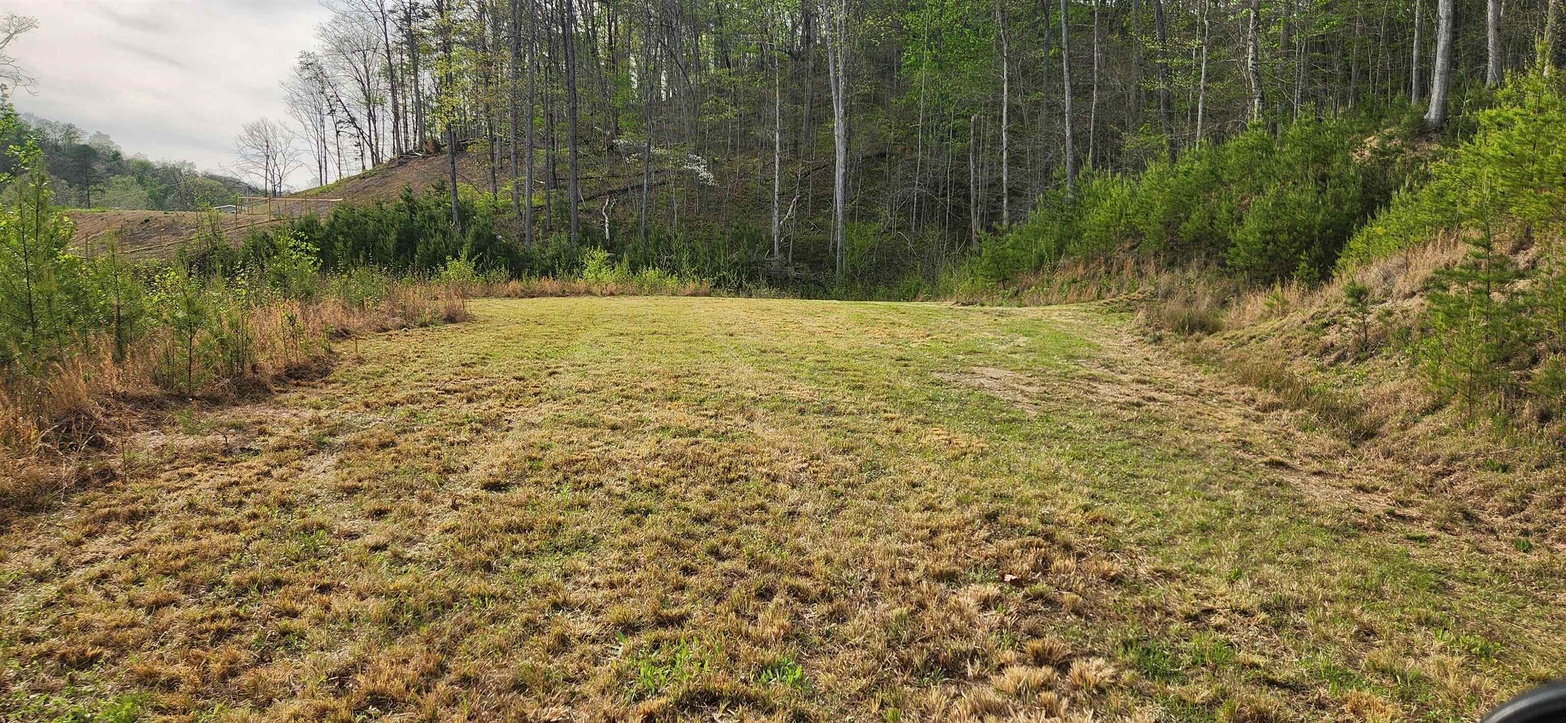 Stinson Creek Road Grayson, KY 41143 - Photo 11 of 14