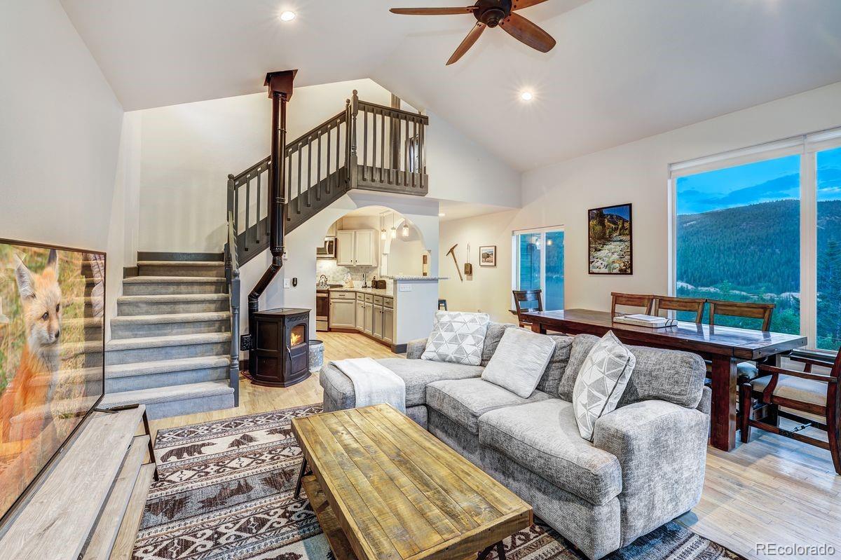 1095 Quartzville Road Alma, CO 80420 - Photo 9 of 48 Gallery Image 9