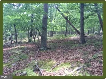 $124,500 | Off Rt 220/cut Off, Keyser, WV 26726