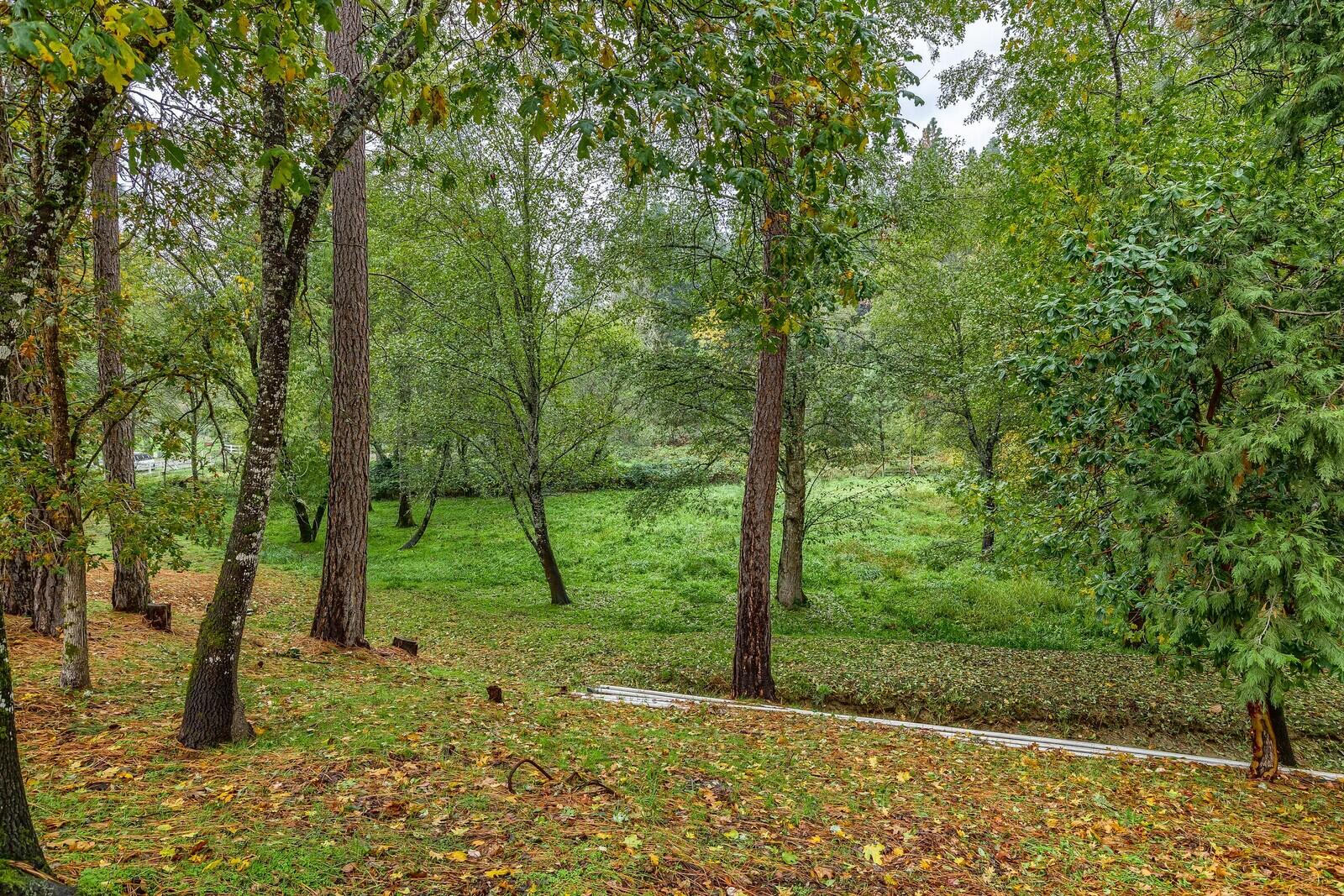 5990 New Hope Road Grants Pass, OR 97527 - Photo 41 of 58 78_NHR_78_mls