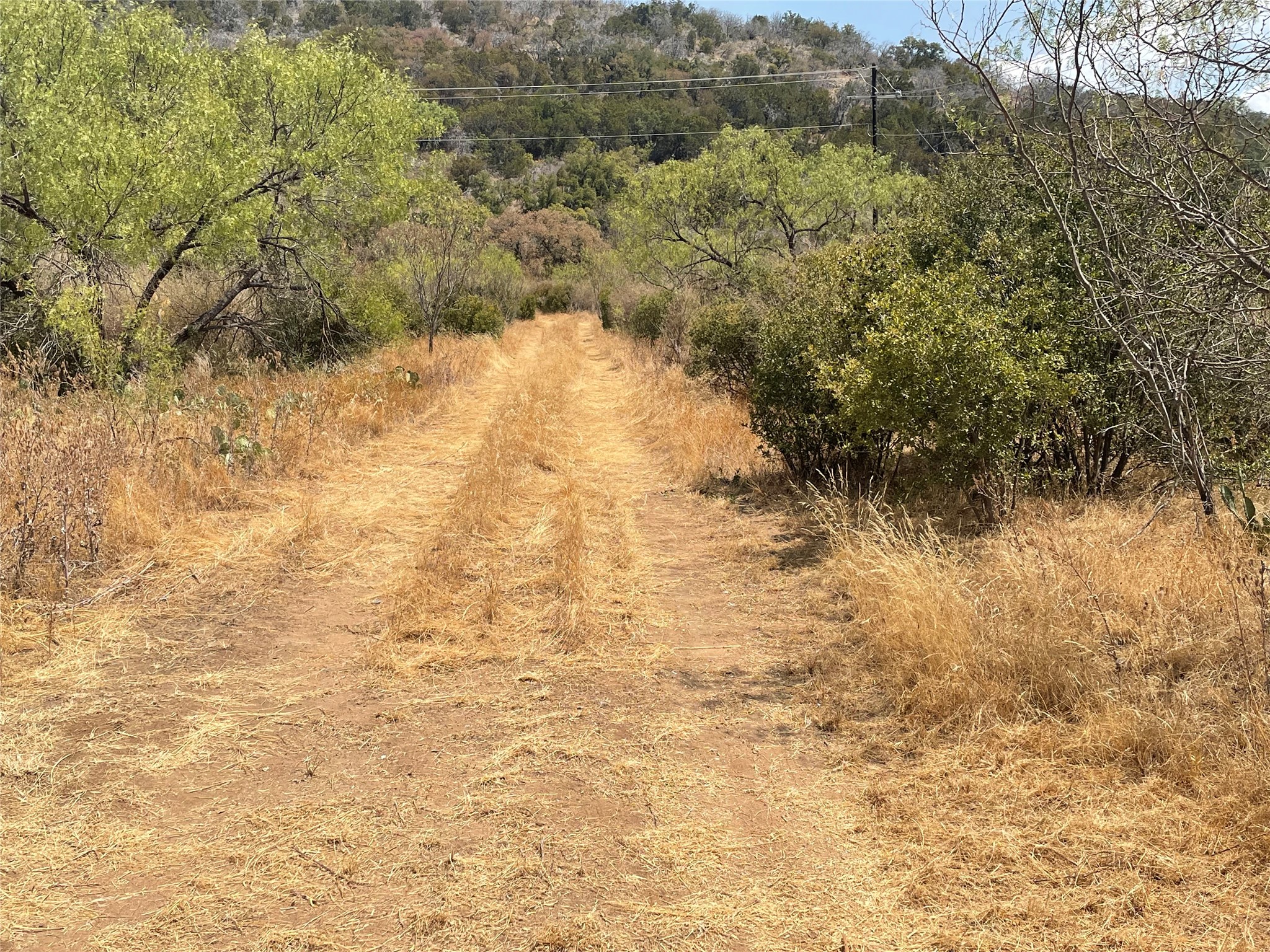 2939 Fm-2342 Road Burnet, TX 78611 - Photo 7 of 28 Trail that leads to the back of the ranch