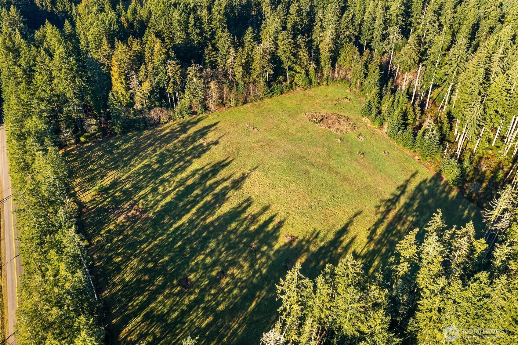 12302 Southwest 220th Street Vashon, WA 98070 - Photo 12 of 18 a view of swimming pool from a tree