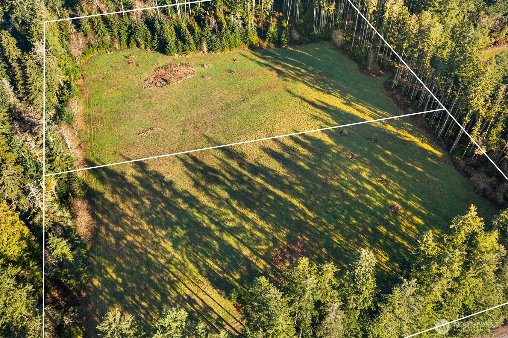 12302 Southwest 220th Street Vashon, WA 98070 - Photo 15 of 18 a view of swimming pool