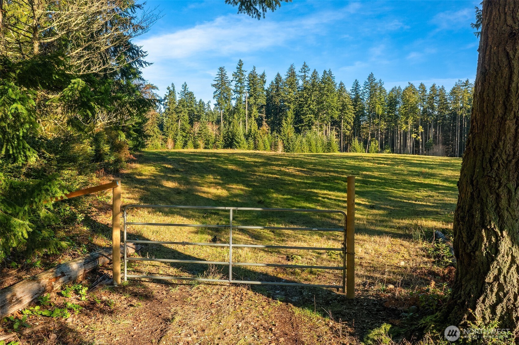 12302 Southwest 220th Street Vashon, WA 98070 - Photo 3 of 18 a view of a yard with an outdoor space