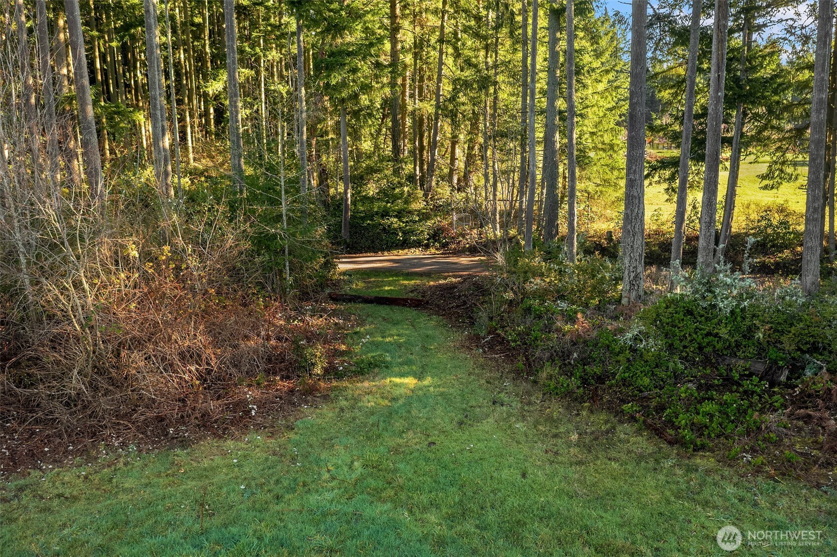 12302 Southwest 220th Street Vashon, WA 98070 - Photo 5 of 18 a view of a yard with plants and large trees