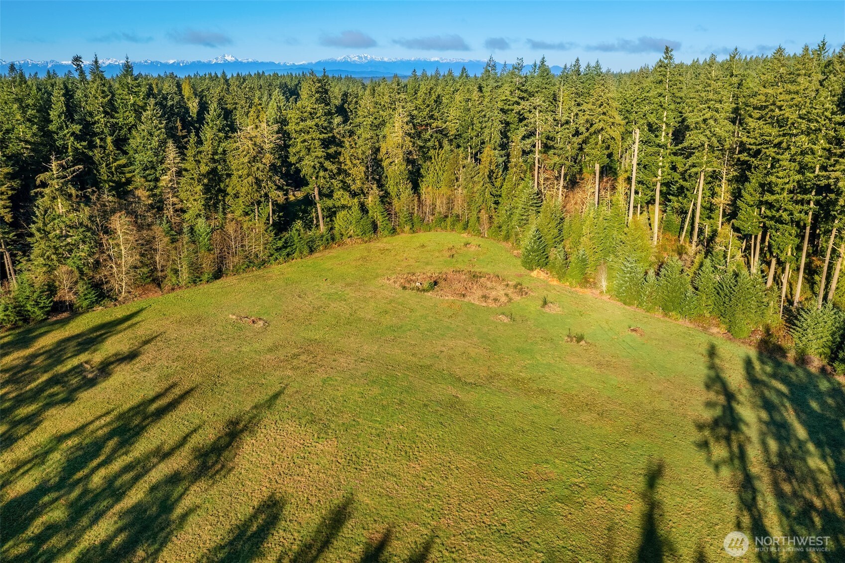12302 Southwest 220th Street Vashon, WA 98070 - Photo 9 of 18 a view of a large yard