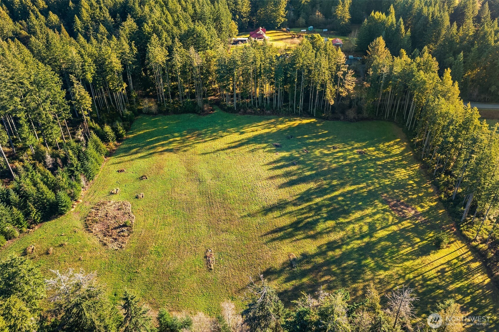 12302 Southwest 220th Street Vashon, WA 98070 - Photo 10 of 18 a view of a yard