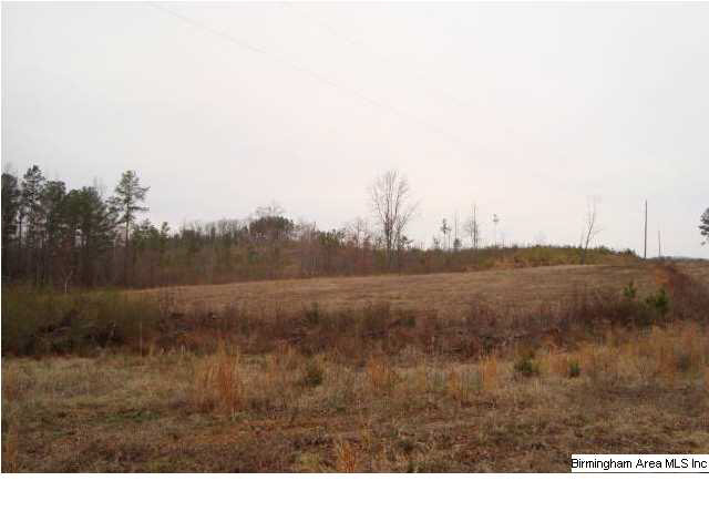 Mayo Road, Unit 96 Altoona, AL 35952 - Photo 17 of 23