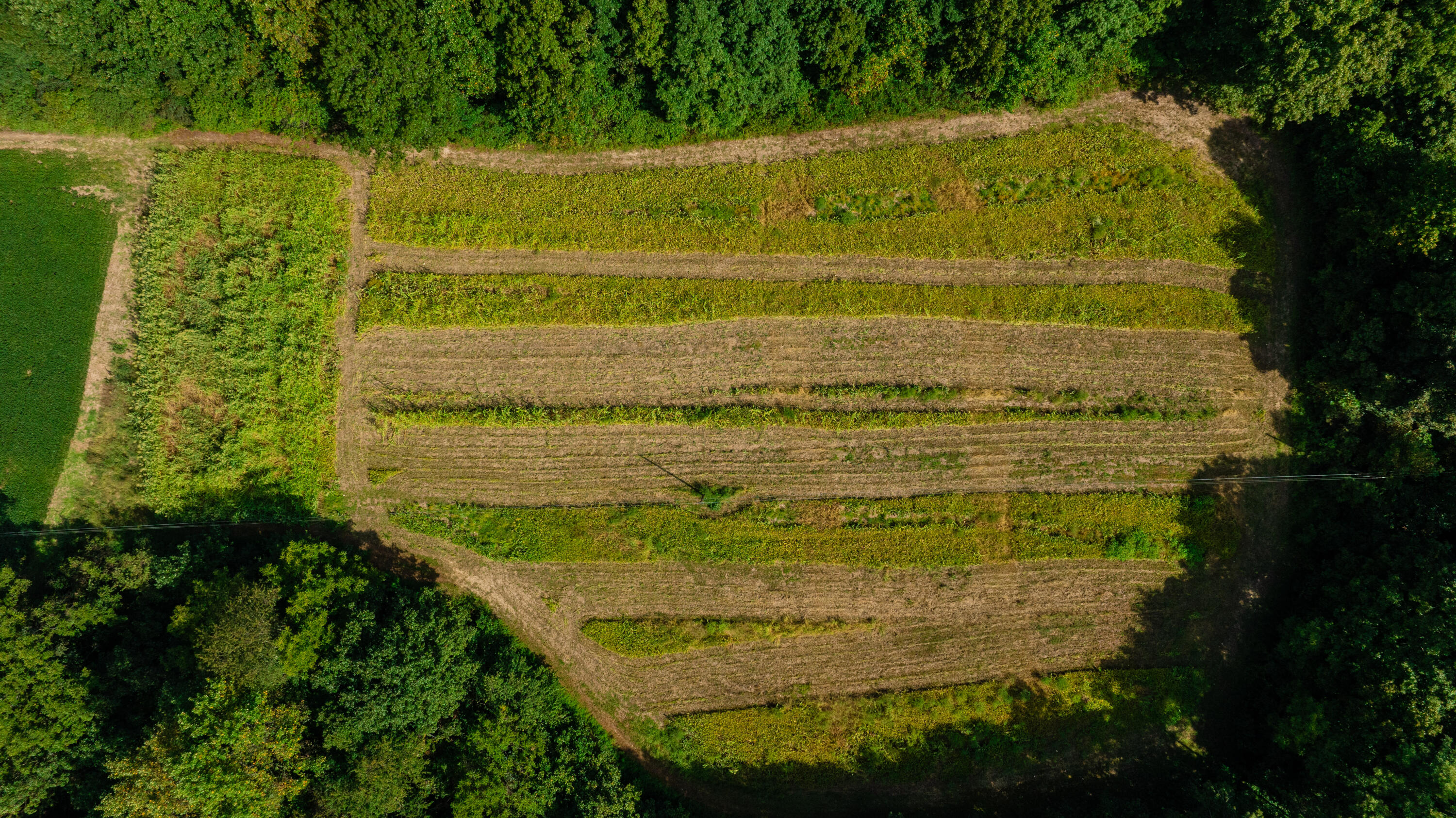 0 Hwy 206 / Ewing Ridge Road Dunnville, KY 42528 - Photo 7 of 23 Robertson-Holt Property (9 of 59)
