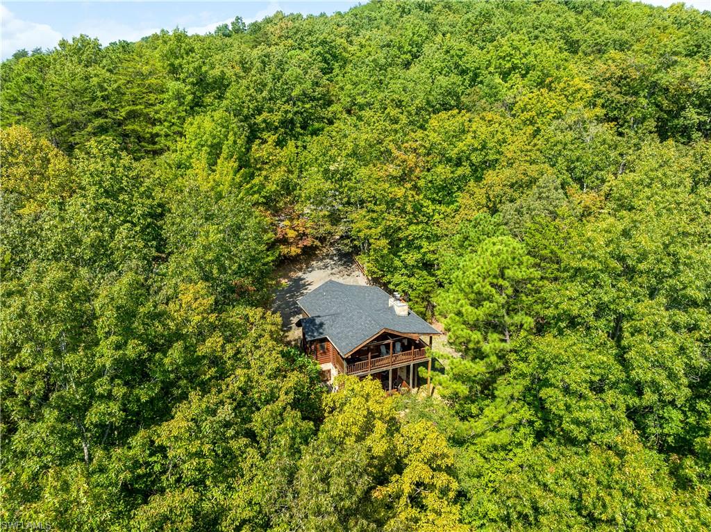 4062 Chamberlain Lane Sevierville, TN 37862 - Photo 40 of 42