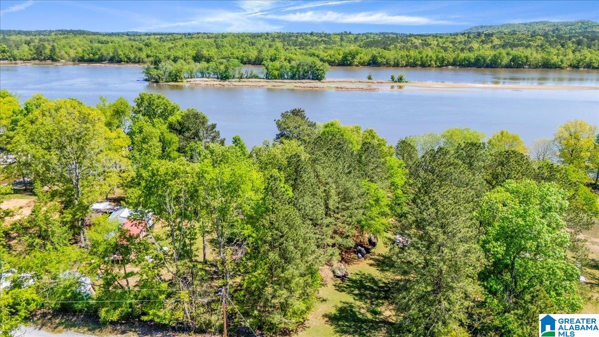3955 River Ranch Road Ragland, AL 35131 - Photo 25 of 37