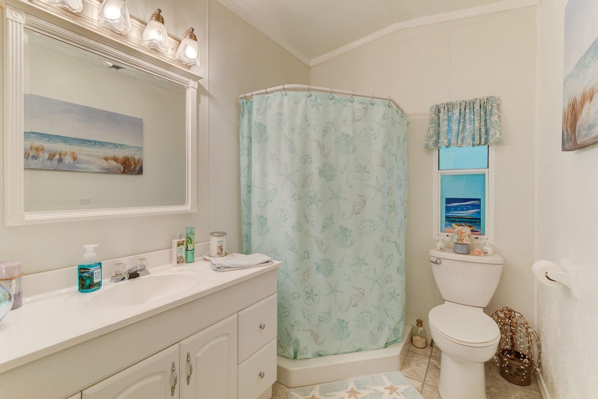 1577 Carroll Road Goodview, VA 24095 - Photo 19 of 40 a bathroom with a sink a toilet and shower curtain