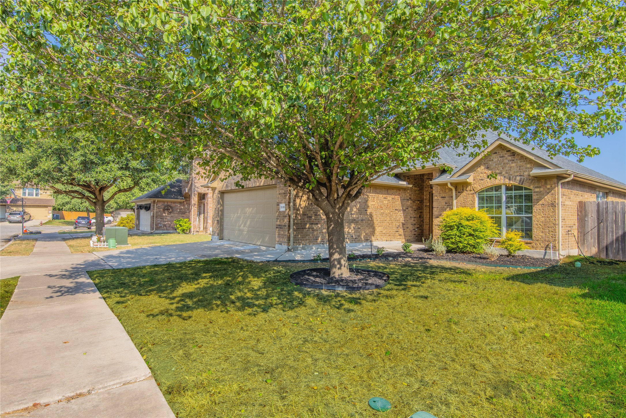 1089 Hot Spring Valley Buda, TX 78610 - Photo 20 of 26 Mature shade trees and a concrete walkway frame this classic brick exterior with garage.