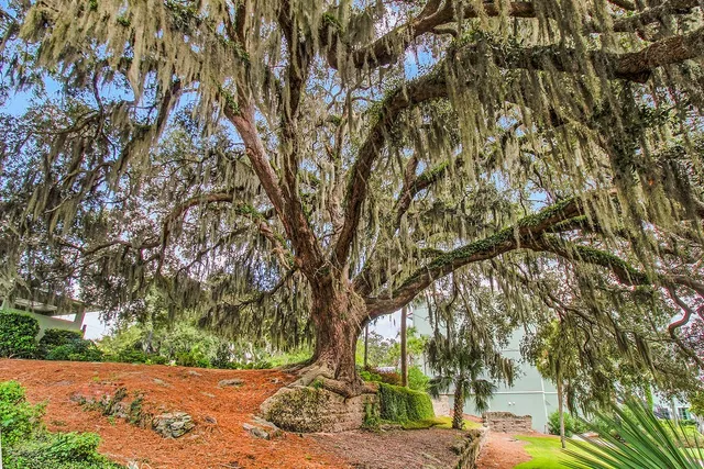 $349,000 | 91 Screven Street, Unit BLDG D 309, Darien, GA 31305