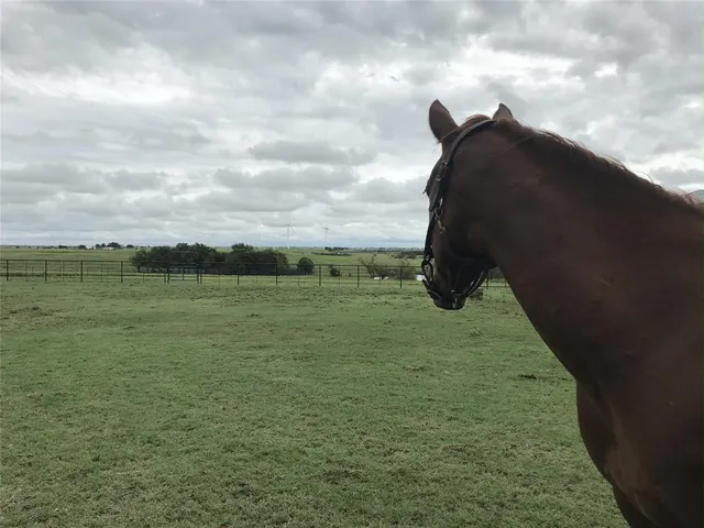 a view of a lake from a yard