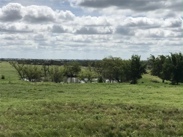 a view of a field with plants and trees in the background