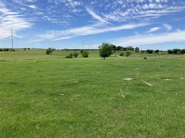 a view of a grassy field with trees
