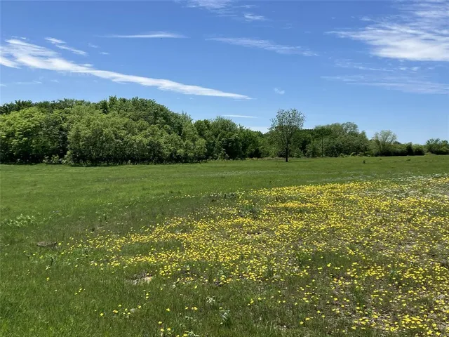 a view of a field with an trees