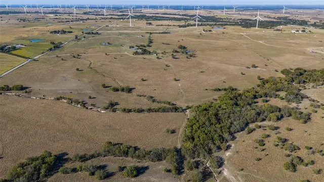 a view of a dry yard