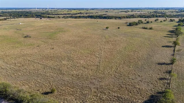 a view of a dry yard with lots of trees