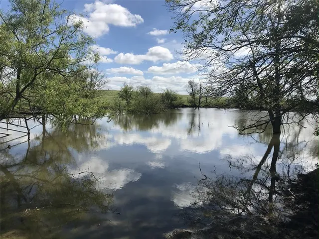 a view of a lake from a yard