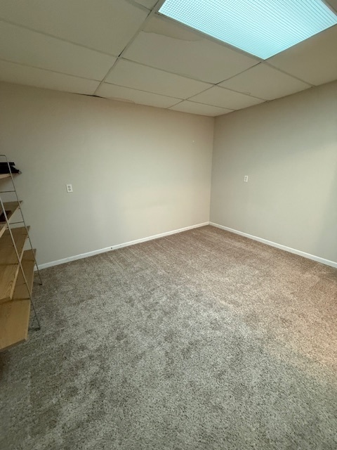 9 Lilac Court Bolingbrook, IL 60490 - Photo 14 of 32