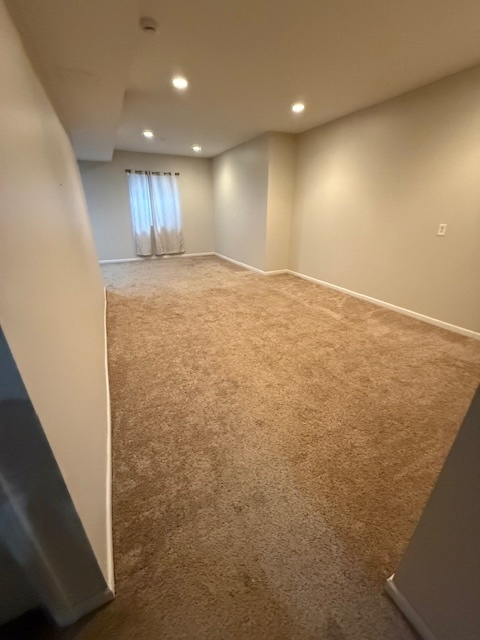 9 Lilac Court Bolingbrook, IL 60490 - Photo 16 of 32