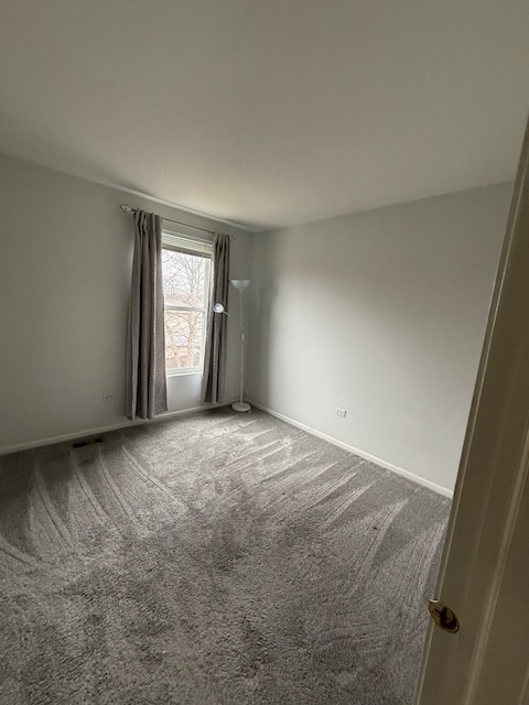 9 Lilac Court Bolingbrook, IL 60490 - Photo 19 of 32