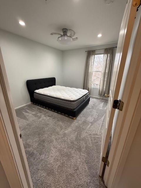 9 Lilac Court Bolingbrook, IL 60490 - Photo 20 of 32