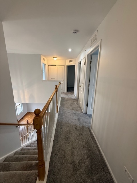 9 Lilac Court Bolingbrook, IL 60490 - Photo 26 of 32