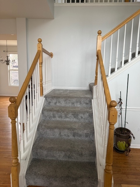 9 Lilac Court Bolingbrook, IL 60490 - Photo 4 of 32