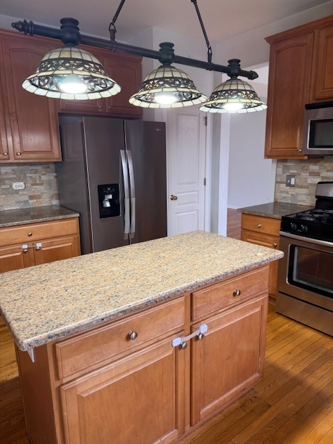 9 Lilac Court Bolingbrook, IL 60490 - Photo 9 of 32