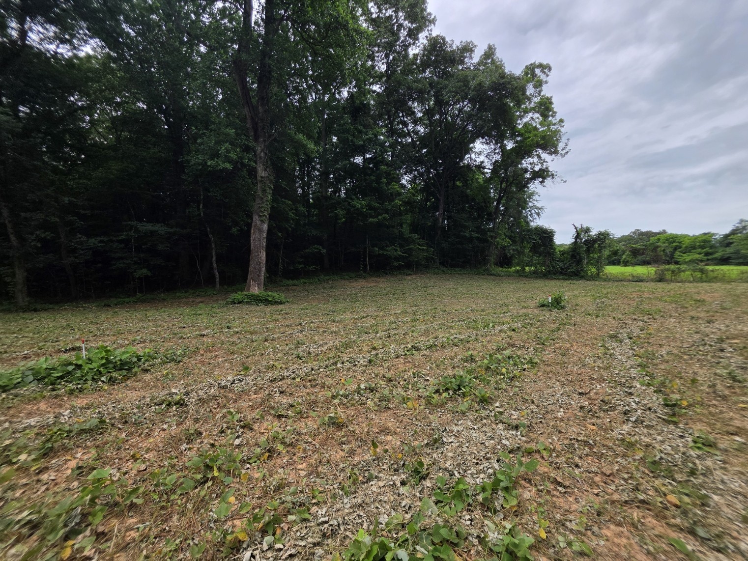 12 Shellsford Road McMinnville, TN 37110 - Photo 1 of 10