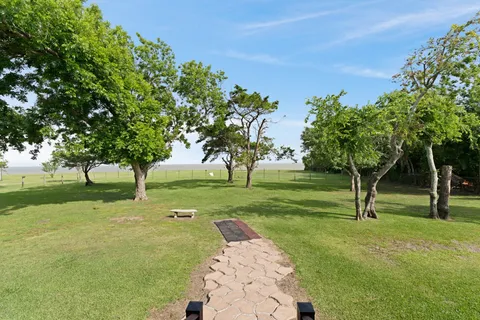 a view of a park with trees